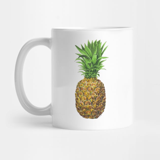 Pineapple, tropical fruit by katerinamk